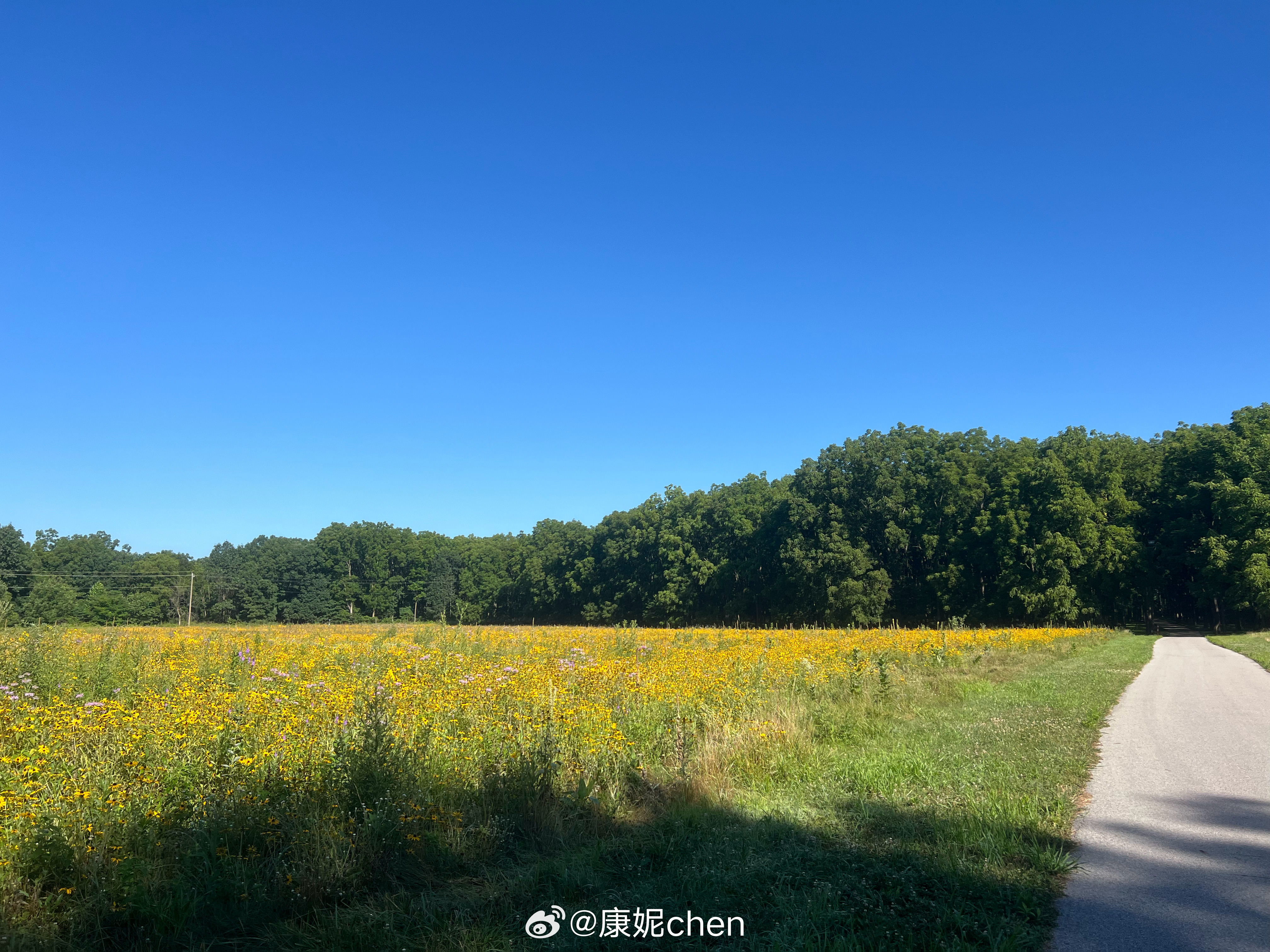2026年7月23日，早上十四五度，十分舒服，有点初秋的感觉。这两天天气很好，阳