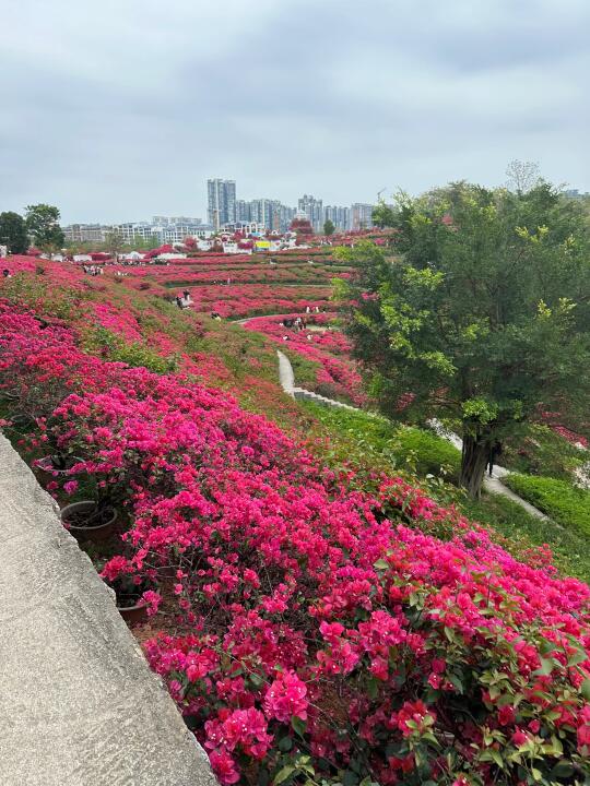 一个超正的恋爱观：如果你爱一个人，那你就跟他好好在一起，不要去想那么多...
