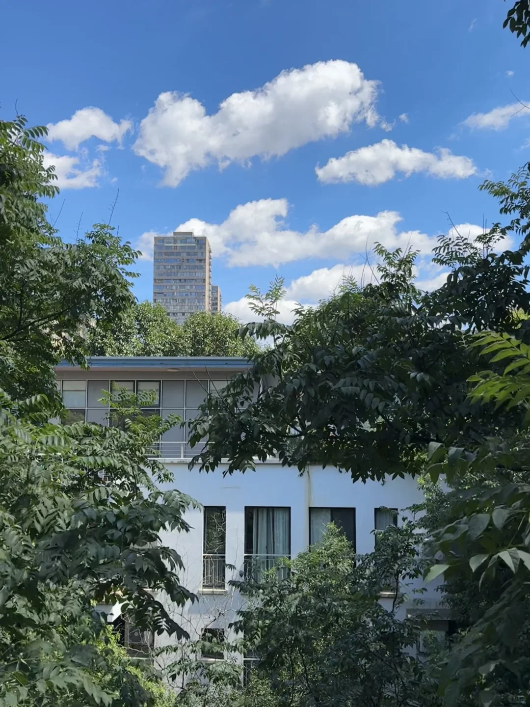 准备入住啦～新家的窗景宛如宫崎骏的动漫