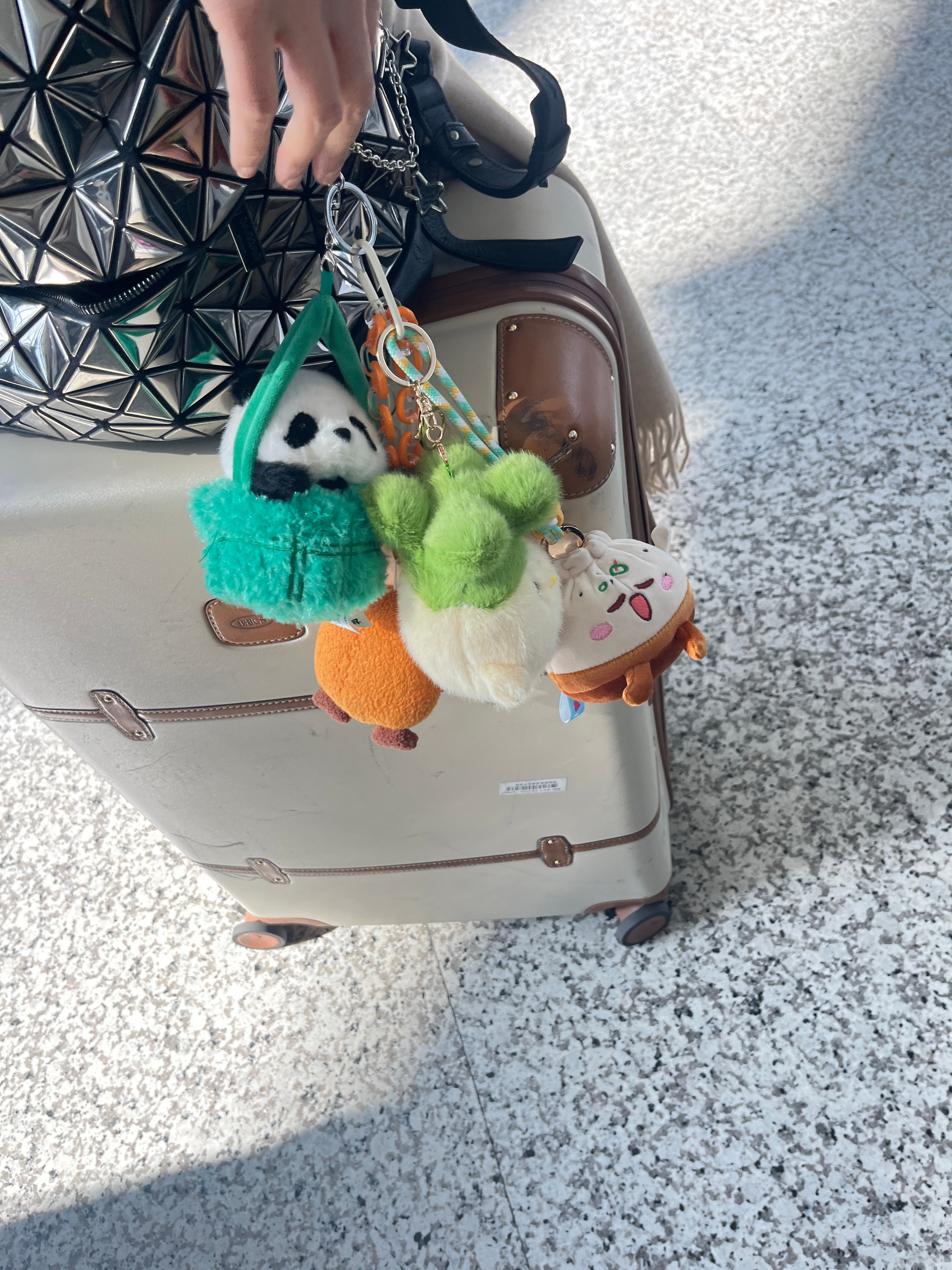 万茜 ｜万茜你好打劫 ｜万茜icy 打劫旅行团又添新成员啦！生煎包安排～～