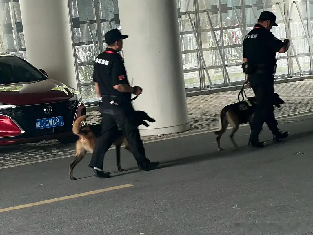tg 特警都来了 三代丝声名在外啊😱 ​​​