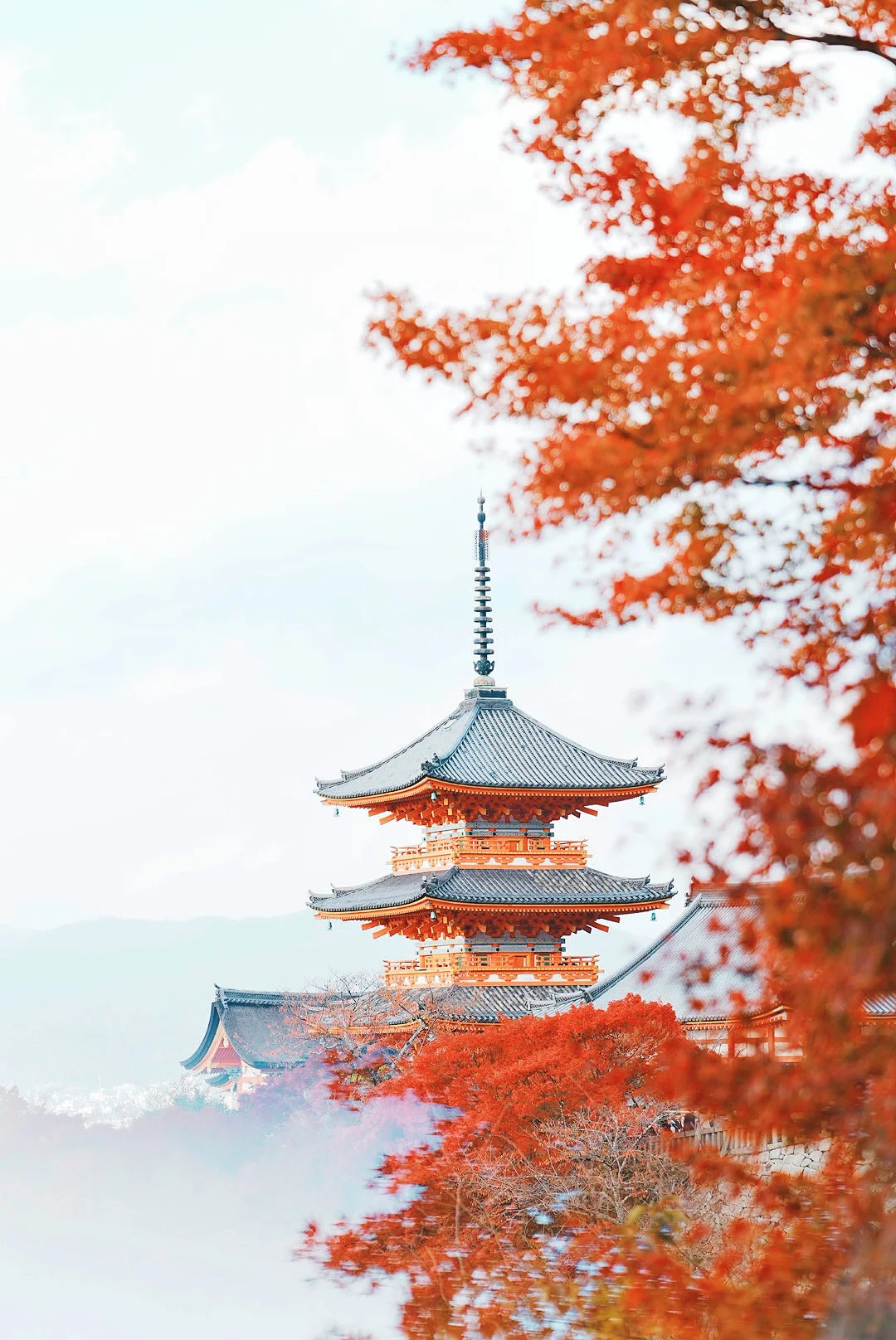 红叶季限定!京都古寺下午茶×叡山电车夜游