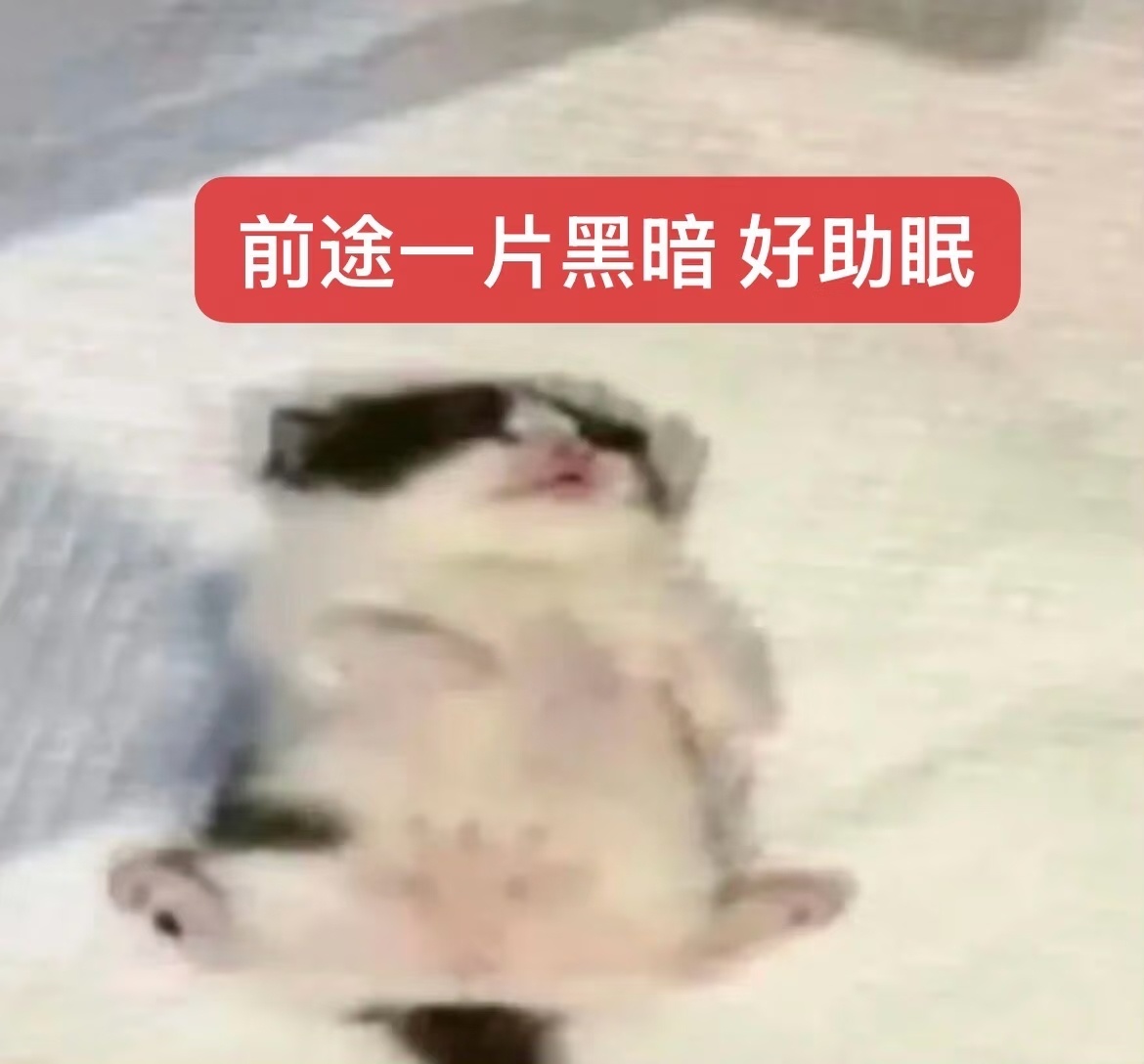 早上坏依旧很困困困困困困困 