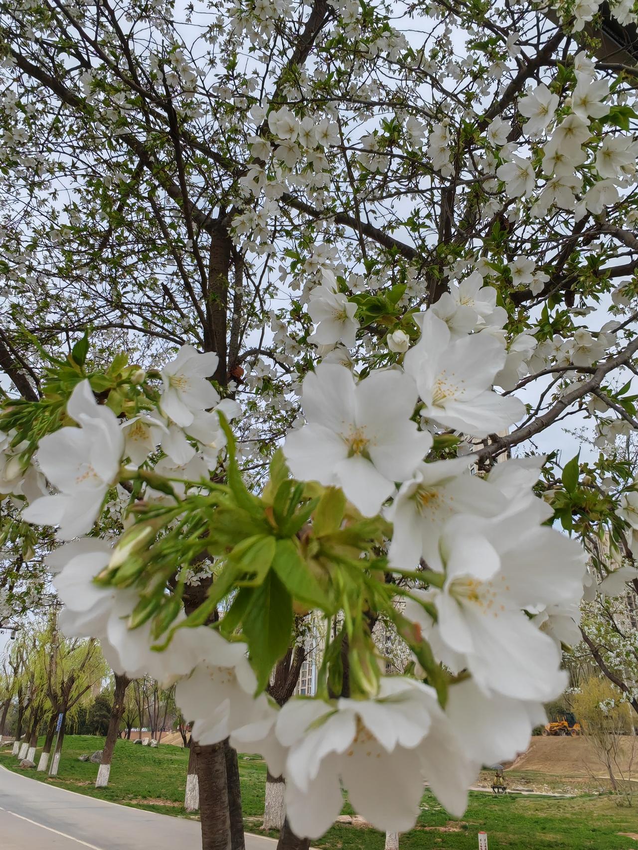 人都有三昏六迷的时候，我曾经坐公交车经常有坐过站的事情，自己都无语了。

可是，