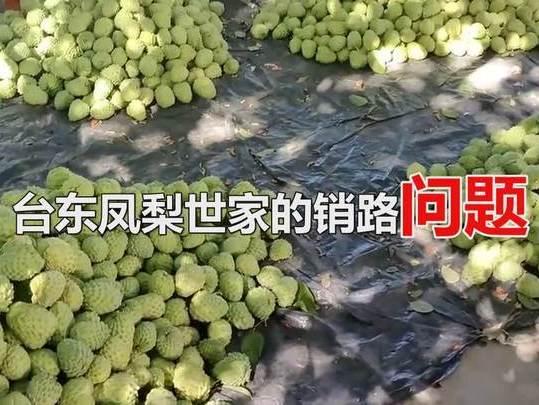 岛内舆论彻底一边倒！蒋万安四字痛批台当局，戳穿荒唐乱象
 
台海民间经贸再起风波