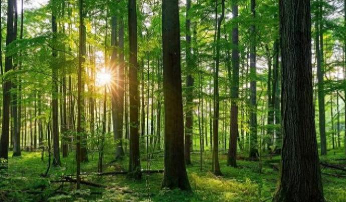 人类还能在地球住多久？有的科学家表示，地球富氧环境仅剩10.8亿年！我不太喜欢"