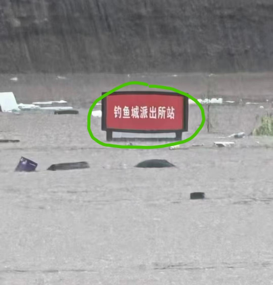 重庆合川区，网友上传的一张图片。
看到评论区有网友评论:这个“钓鱼城”就是那个“