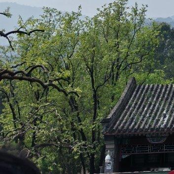 焦虑的本质，是你用未来的不确定，惩罚当下的自己。与其在担忧中消耗，不如在行动中沉