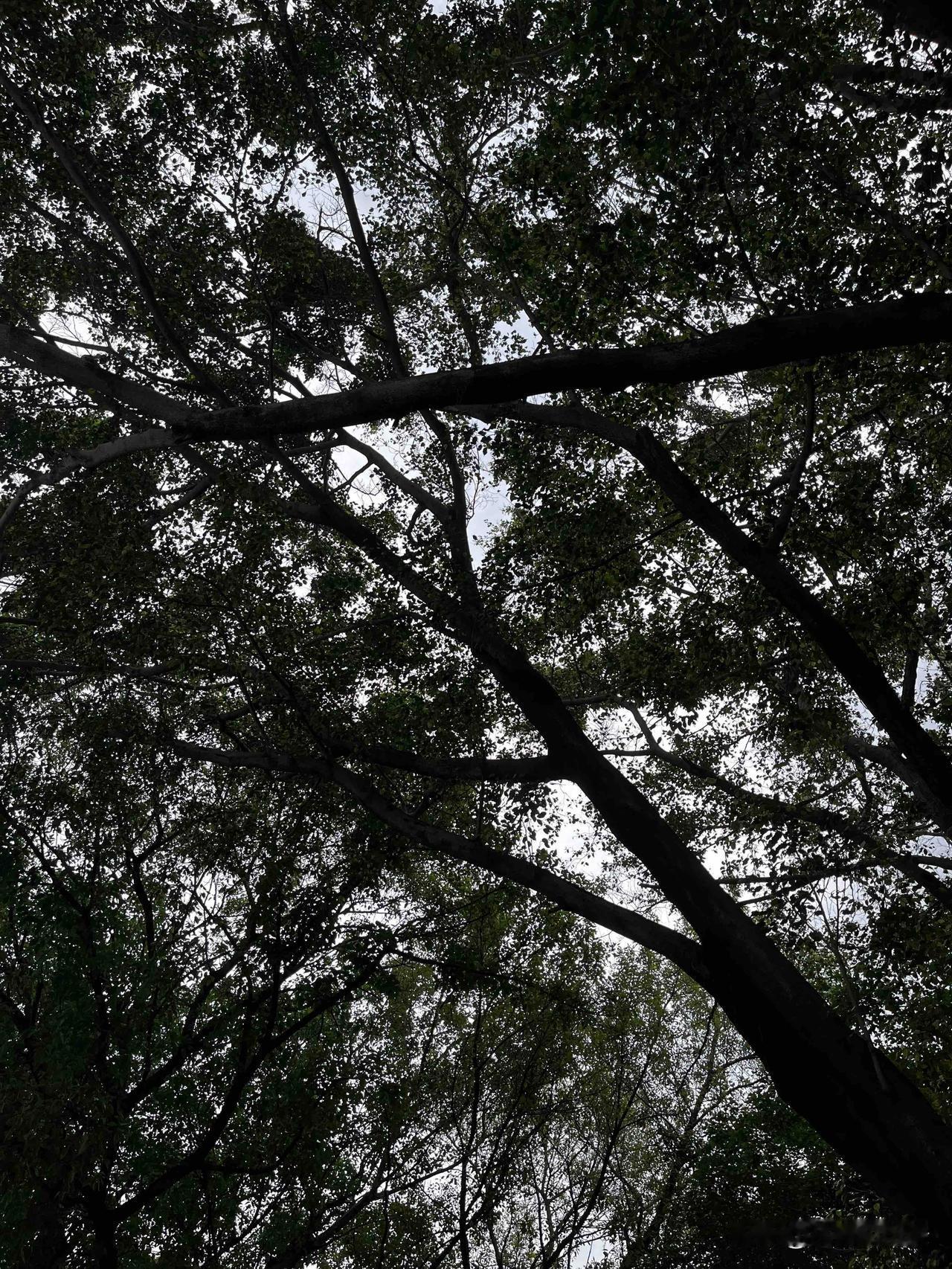资治通鉴：只要有人言语上不尊重你，就是明目张胆的欺负你，

没有例外

先讲个真