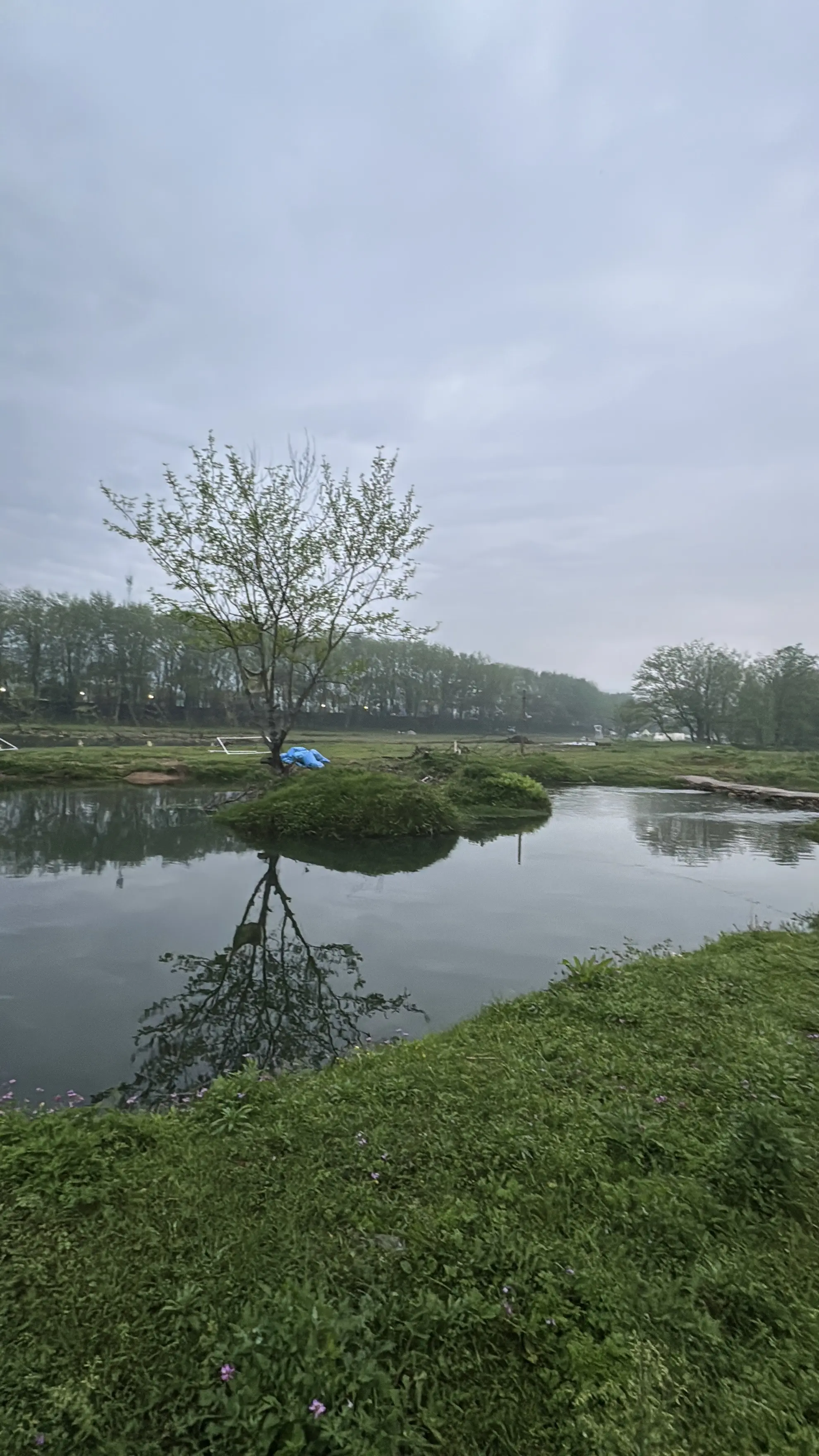 这露营地好舒服，又或是这个季节有草坪的地方都舒服！
