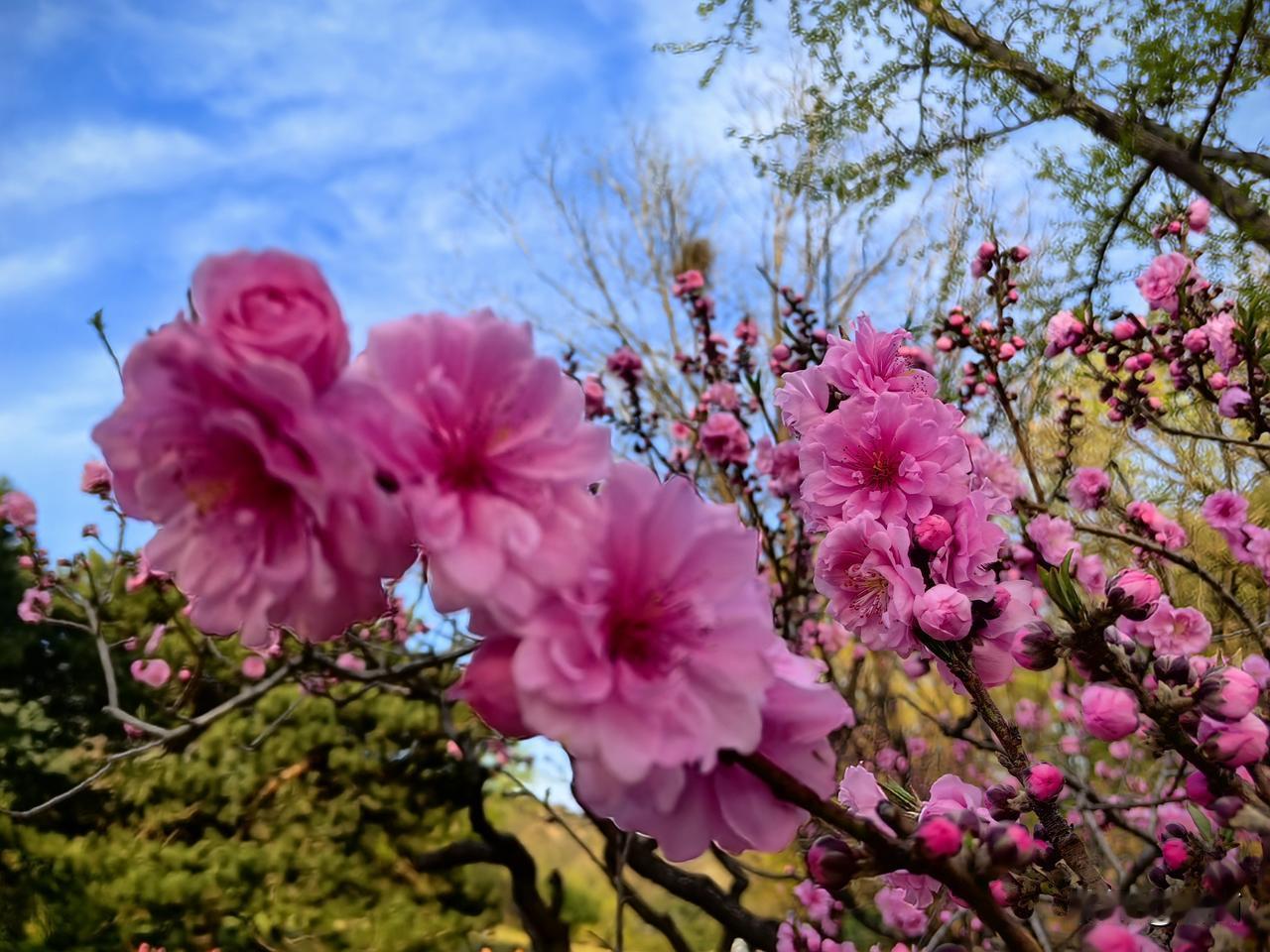 老年人关节疼，别硬扛啊！5个缓解妙招在家就能做。
 
春天气温忽冷忽热，湿气还重