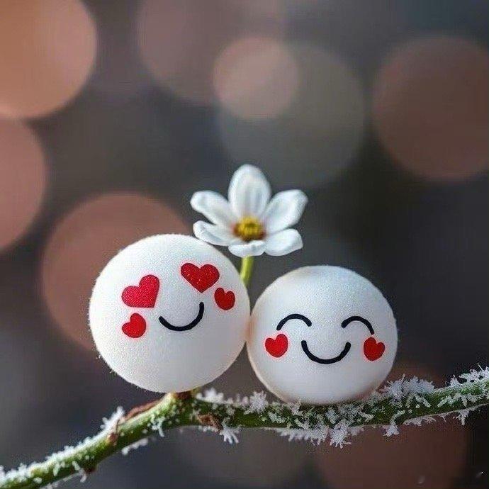 周二6单福利抢先放送 要咨询婚缘 父母 感情 学业 子女 田宅 事业 财运 健康