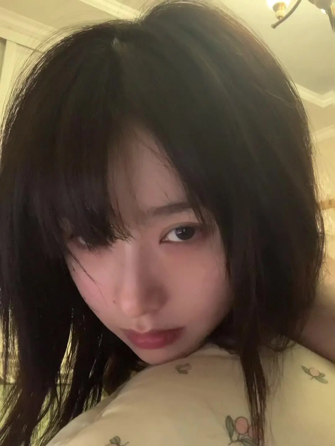 人 骡的欢乐豆又没了