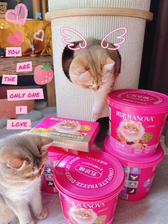 为猫猫们打下的粉色江山