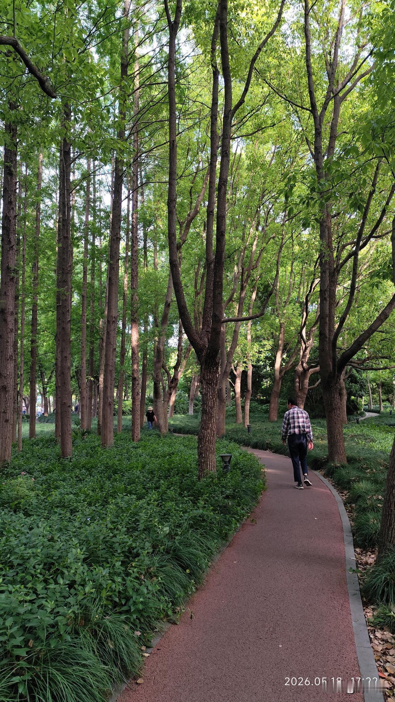真心话茶局初夏的公园绿意盎然，林木葱翠，步行小道蜿蜒曲折伸向远方。游人尽情休闲享