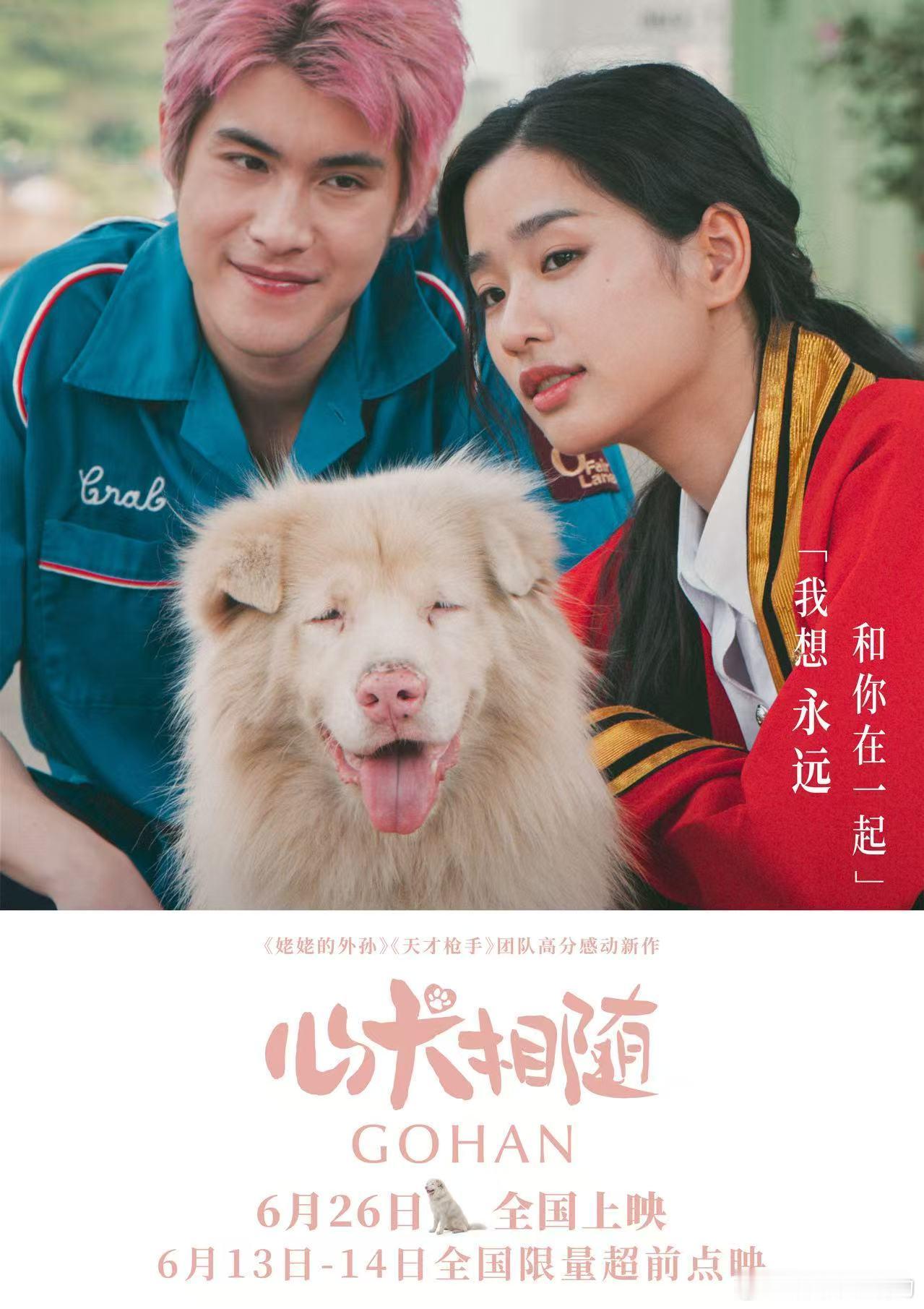 电影心犬相随小狗人你礼貌吗 《姥姥的外孙》《天才枪手》原班人马高分新作《心犬相随