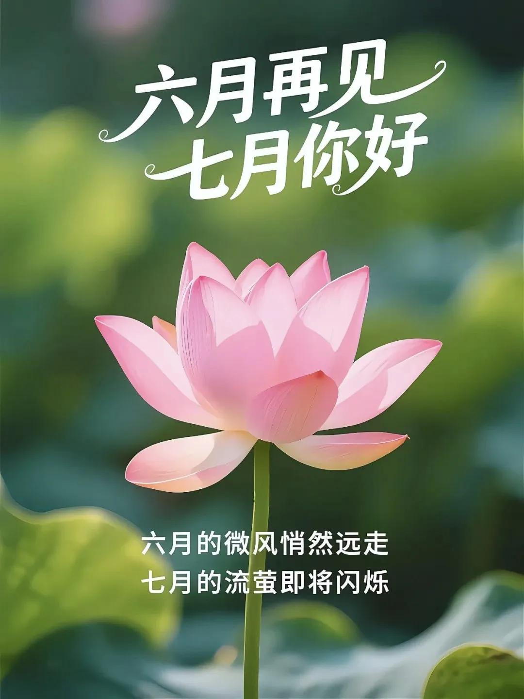 时光，如白驹过隙，仿佛转身间，如诗如画、如歌如赋的六月，已与我们擦肩而过，挥手作