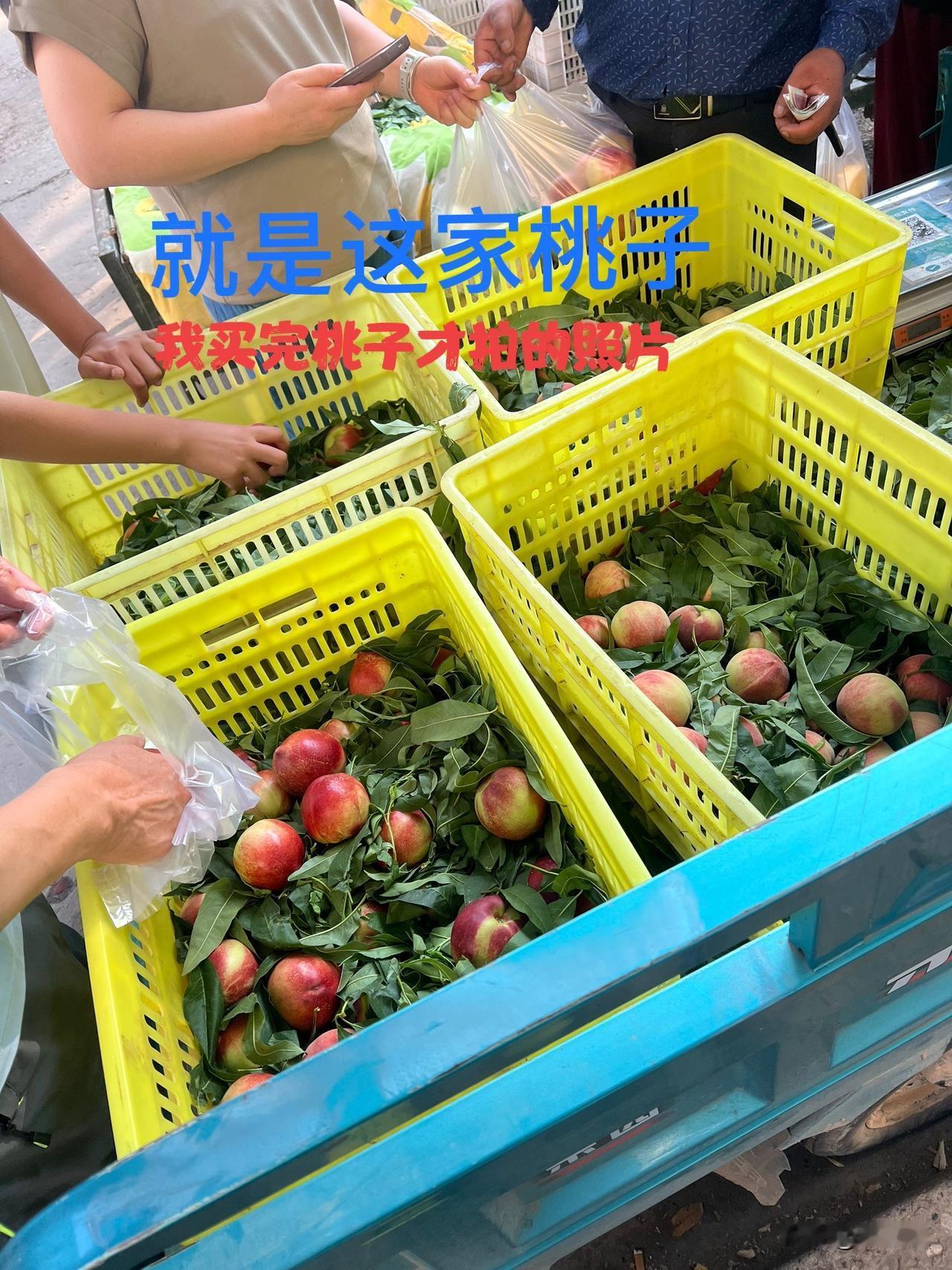 昨天在兰州市安宁区枣林路市场买了不少的桃子，主要是摊位跟前围的人很多很多，卖桃子