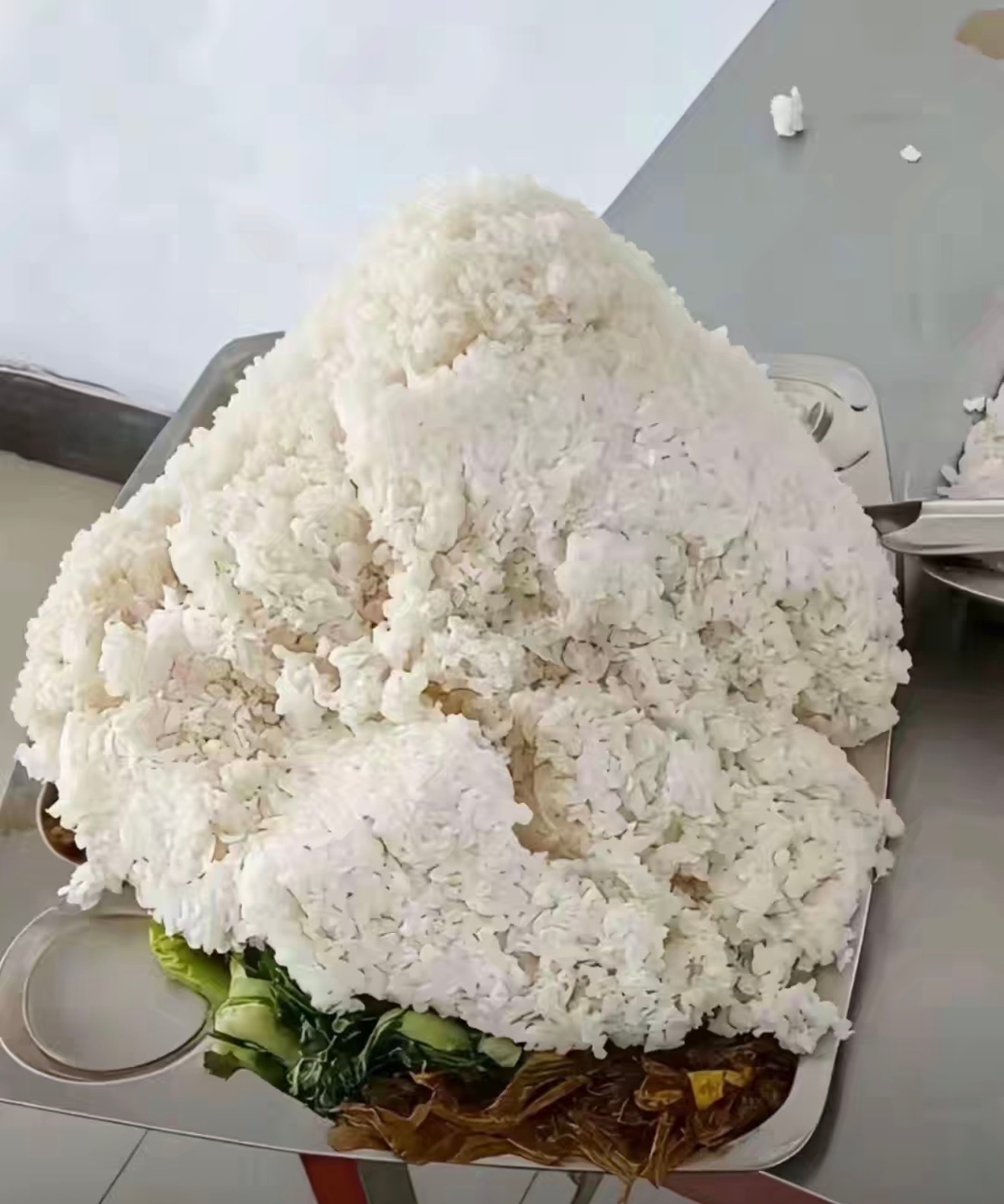 吃饭了 