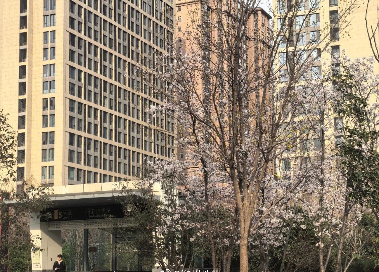 地铁列车开往美好的春日时光；而春天，就在出口等你。（客运一中心  陈昊） ​​​