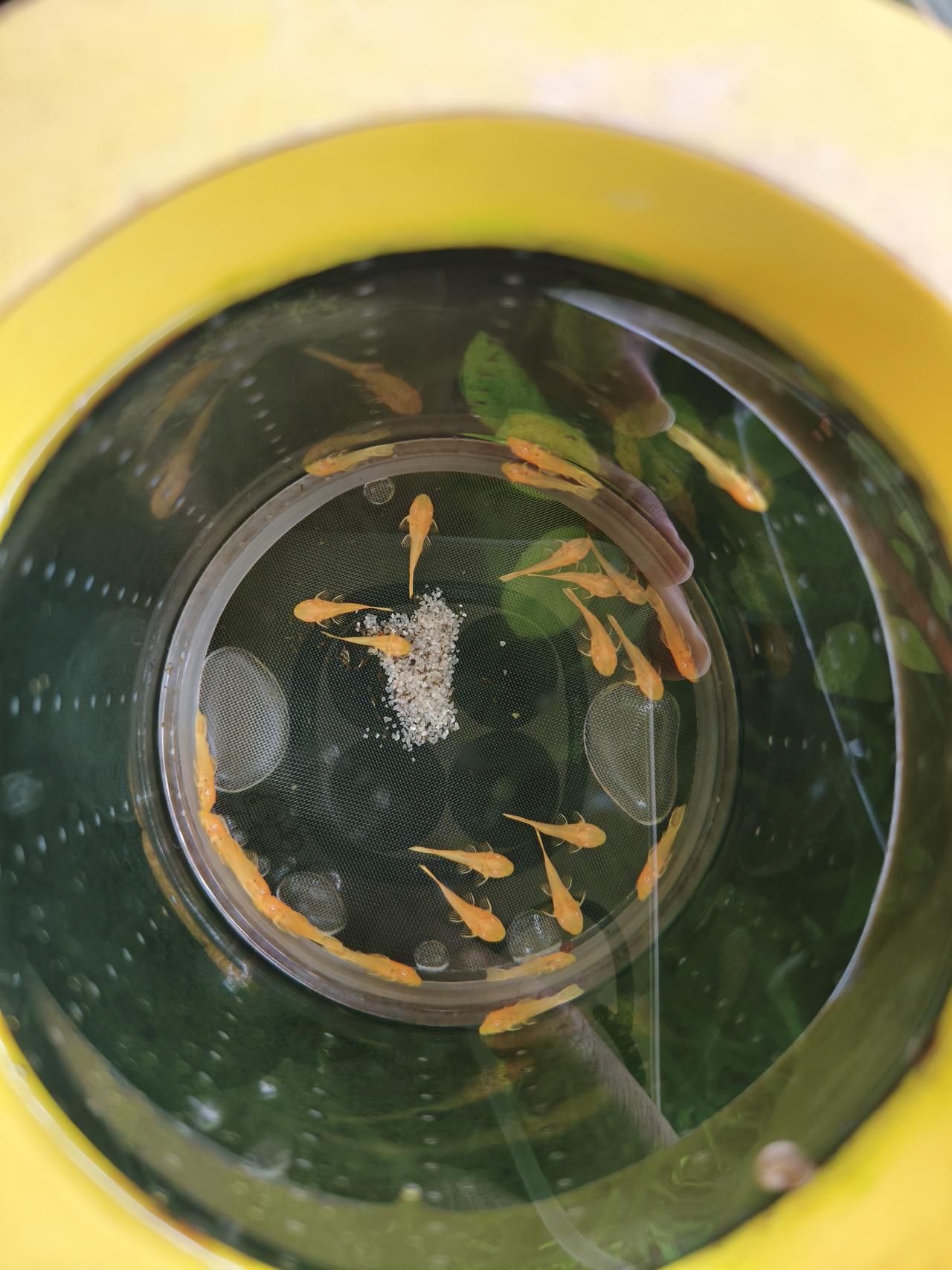 带定位晒今日生活