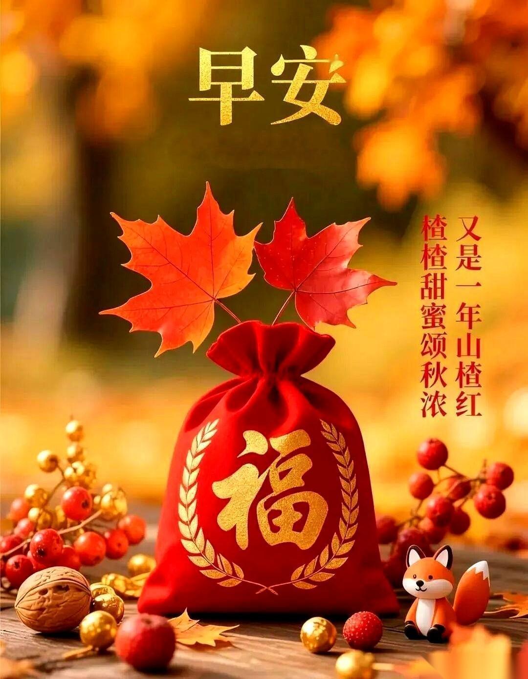 一觉醒来，天彻底凉了。
真好。
那种被秋天早晨的凉气，一下子激醒的感觉，谁懂啊？