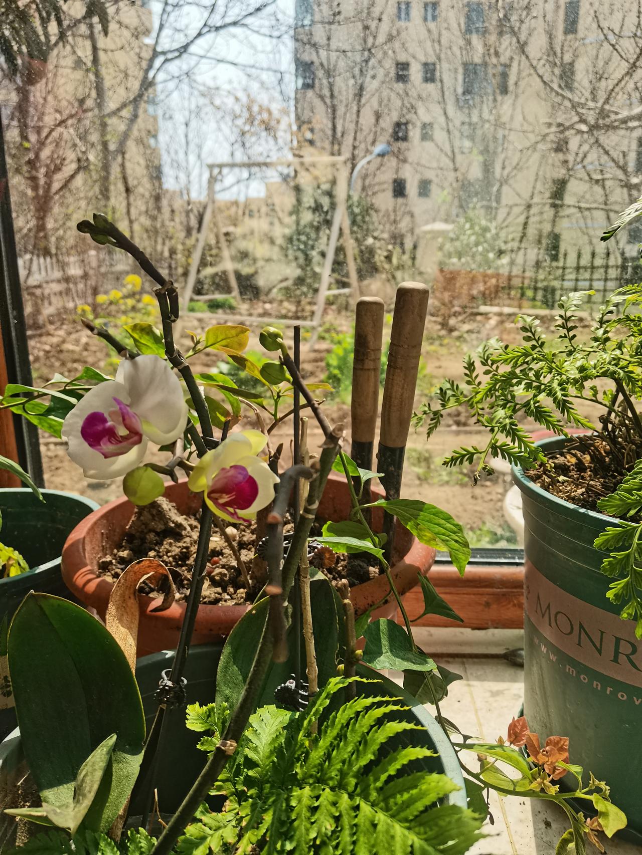 老张两口吵架，太太气得骂：
“我真是瞎了眼才嫁给你！”
老张慢悠悠回：
“你眼瞎