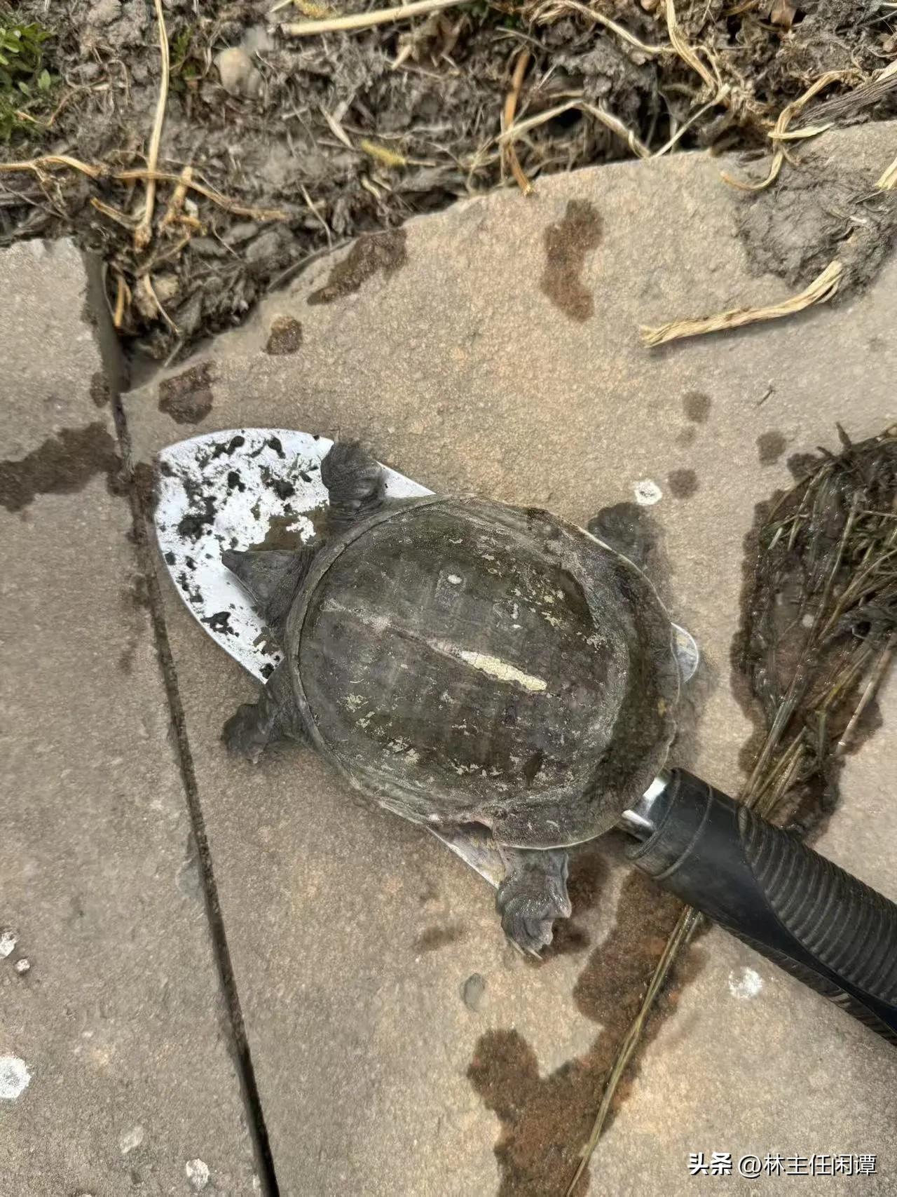 五一是回家的多？还是出去玩的多？
前一段的清明节是感受了人从众的感觉
这五一的时