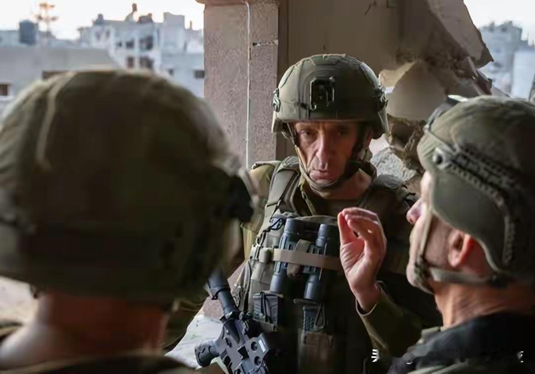 加沙正在“点名清除”