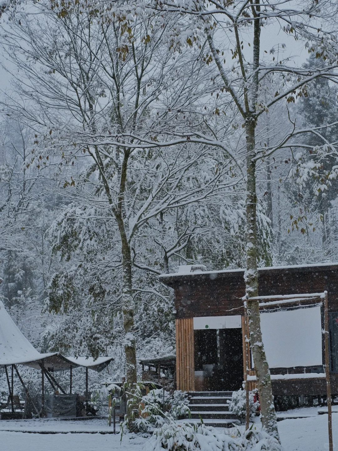 成都周边｜突如其来的初雪❄️