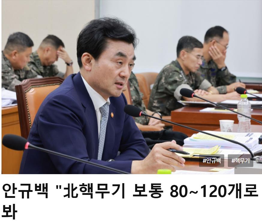 8月20日，美国和韩国都同时提到了朝方可能拥有的核武器数量，但数字有较大区别。特