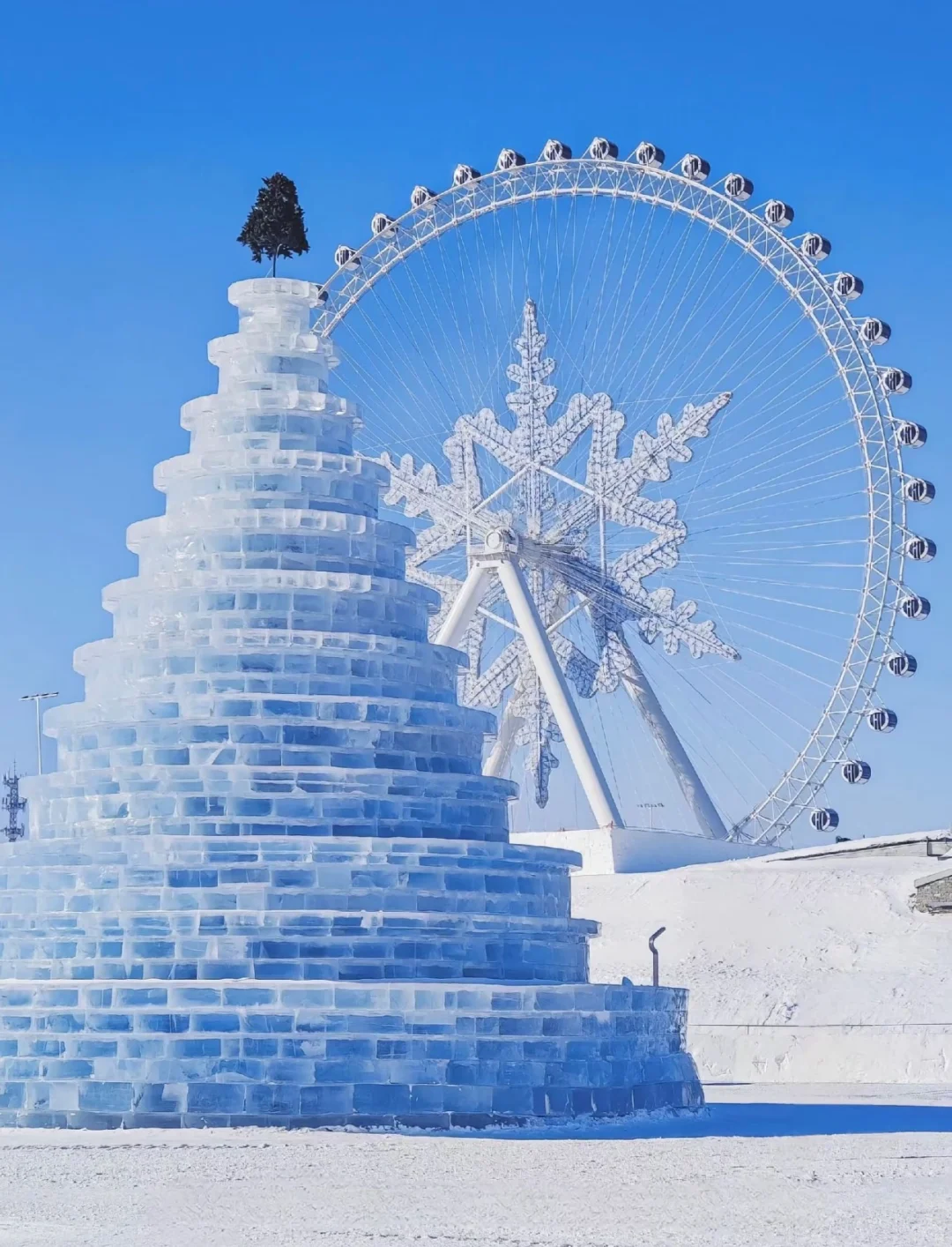 爆哭😭终于有人把哈尔滨亚布力雪乡说清楚‼️