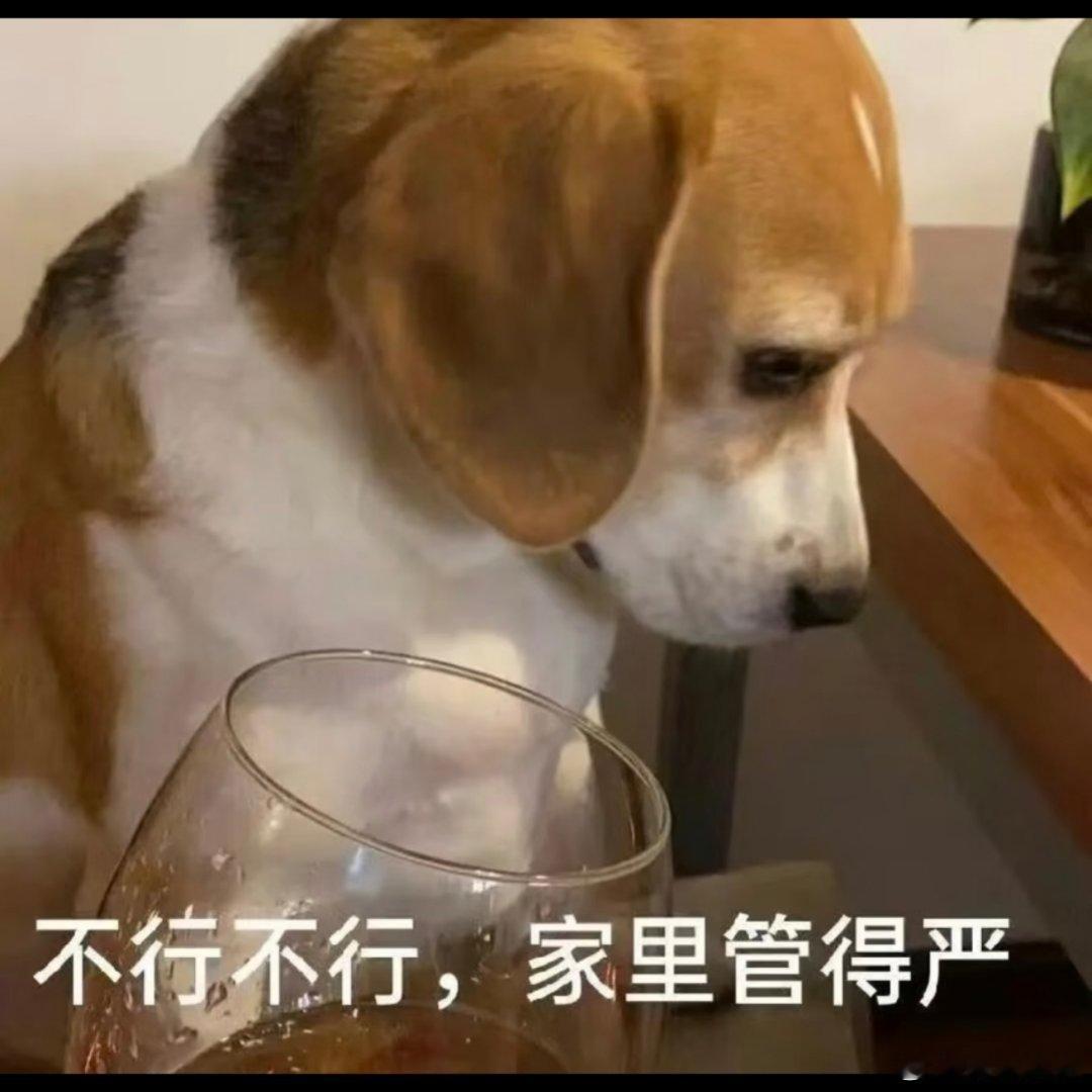 就爱整点儿抽象表情包 ​​​