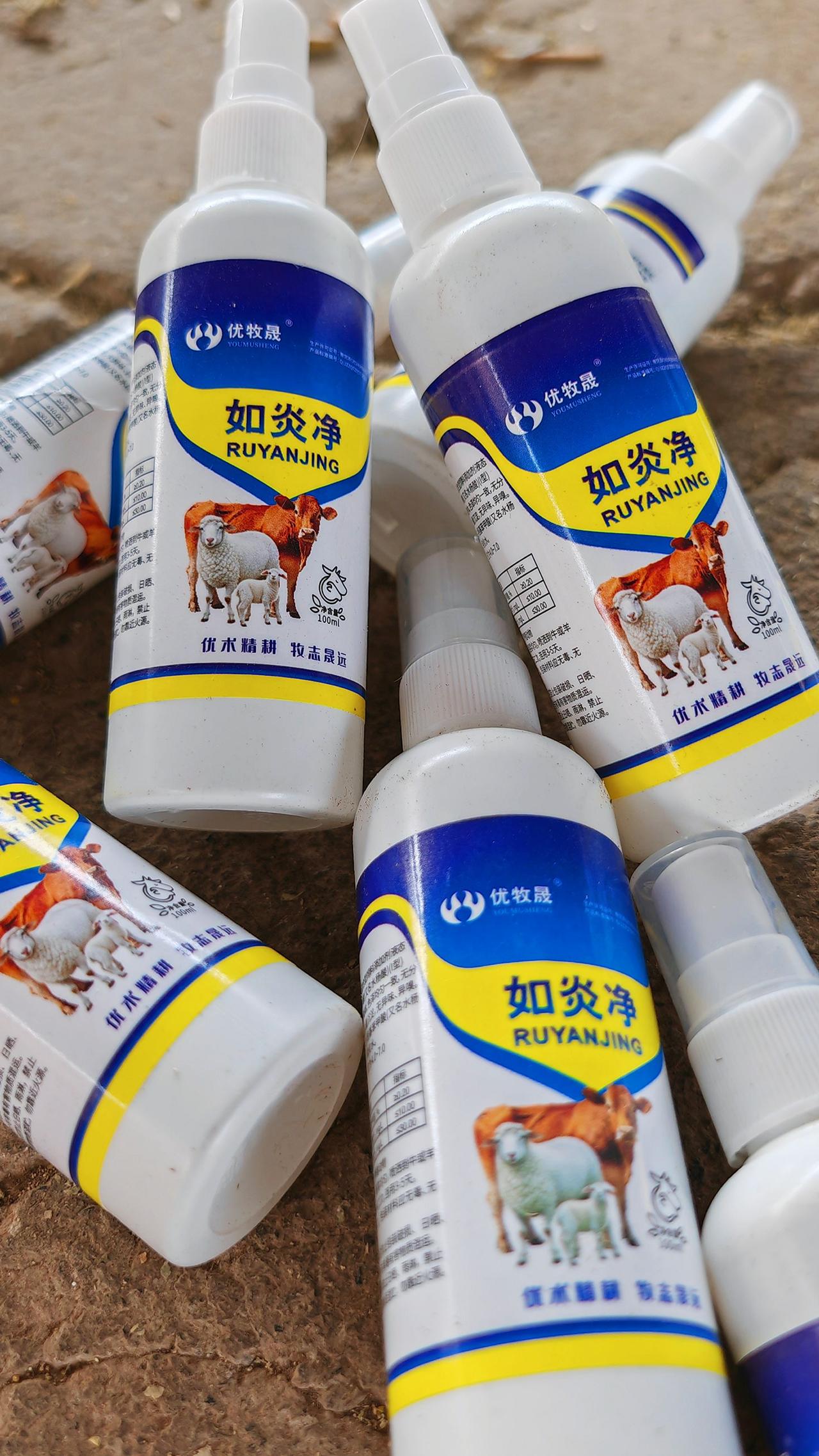 养羊人 农村养羊 牛羊养殖