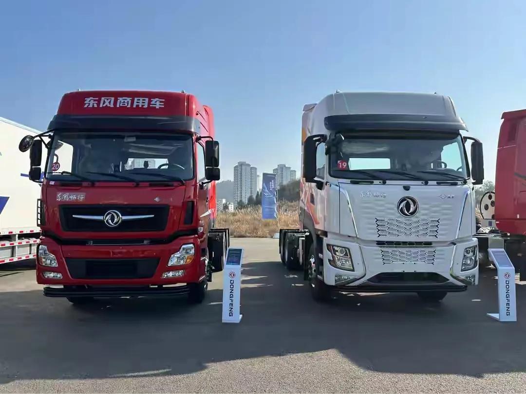 东风商用车除了本部天龙和天锦外，还有控股子公司的东风新疆的畅行等品牌。

东风新