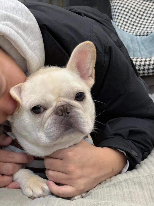 呐，陪伴是我的专长！