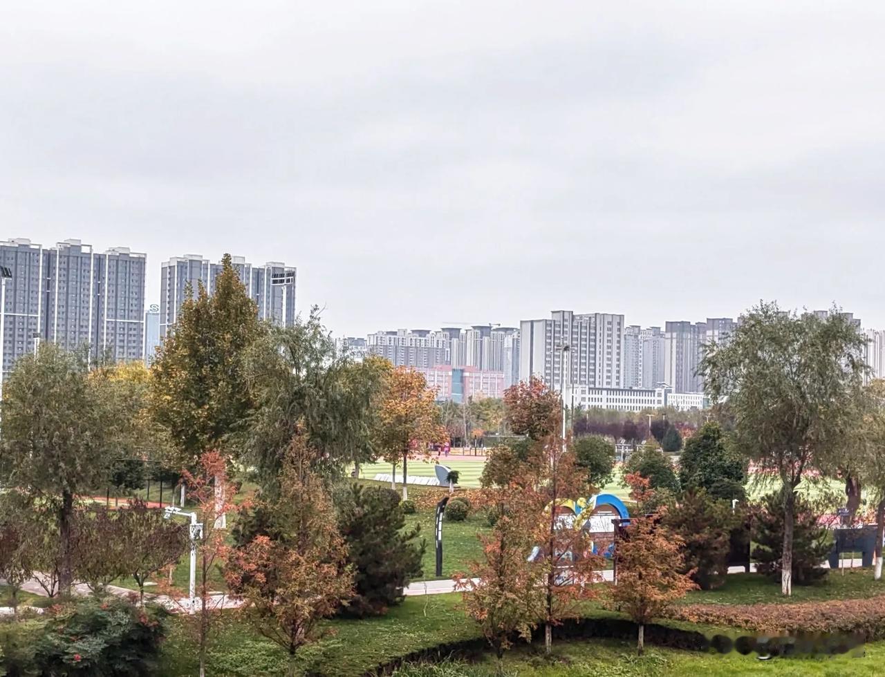 与朋友去渭河公园转悠，目睹这彩色斑斓的景色，真是令人心旷神怡！