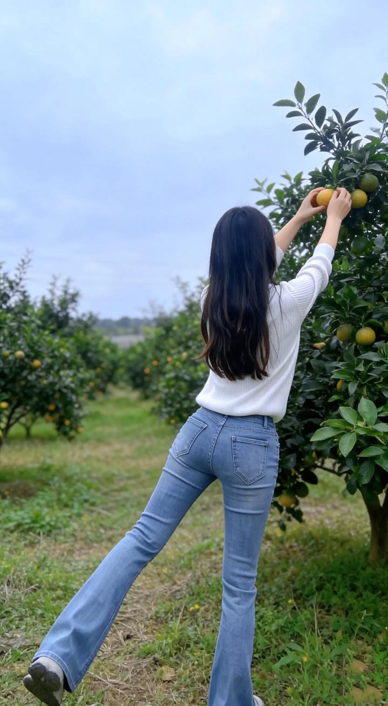 摘下自然的馈赠，享受田园的宁静。🍊🌿