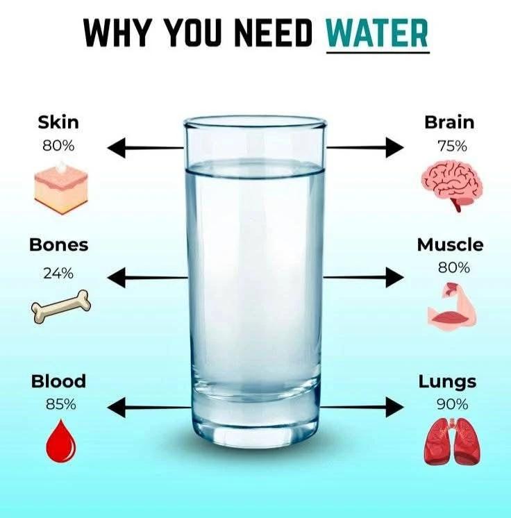 【发文休闲时刻】分享X好图，您需要喝水，因为您的器官需要水！
皮肤80%，骨头2