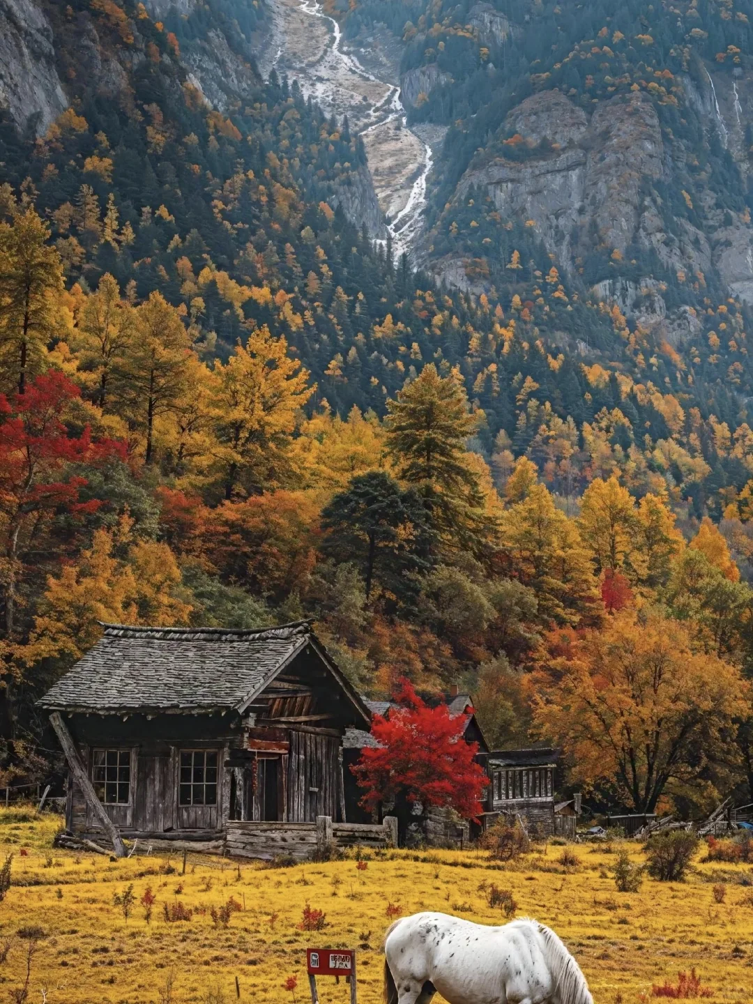 10月22的四姑娘山封神了💯2天人均才200+