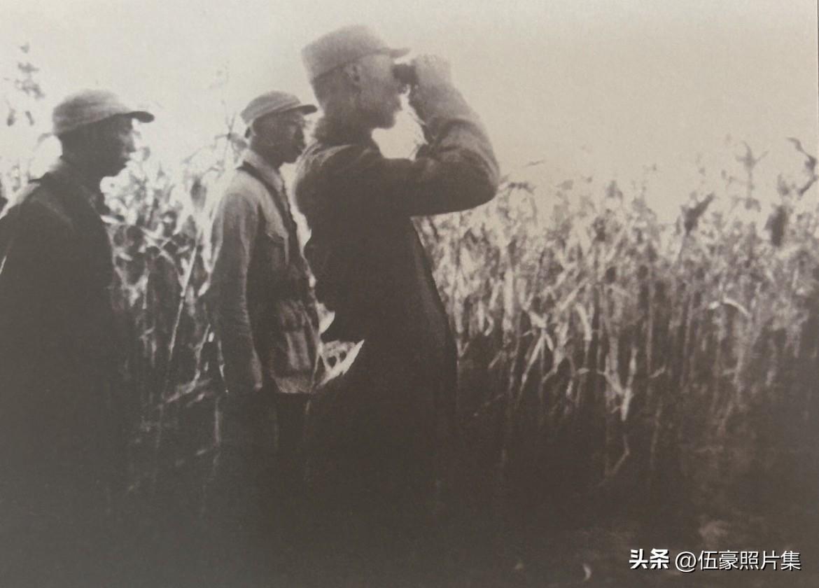 1942年5月1日，日军出动2个师团另2个旅团5万余人，对冀中抗日根据地开始所谓