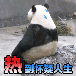 法国超市民众为买空调多人躺地互殴天气太热了排这么久的队难免也跟着火气大大家都不容