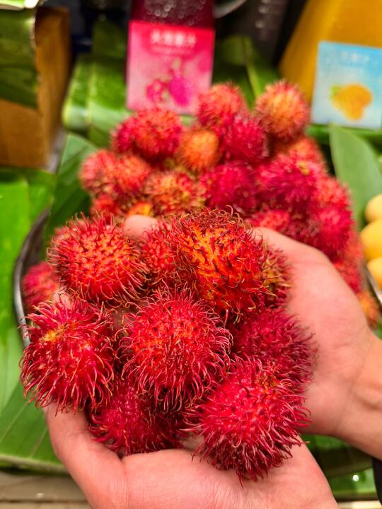 棕榈树果实 水果推荐 有趣的水果 大爱水果季 树上熟水果 来自大自然的馈赠