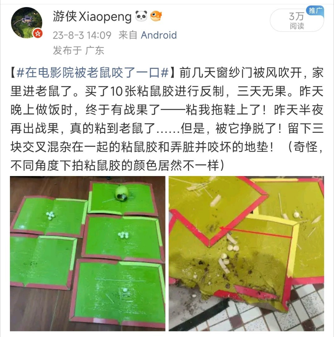 【老鼠挪开粘鼠板偷吃】老鼠是很聪明的动物，就是黑布隆冬、繁殖能力又太强，没法成为