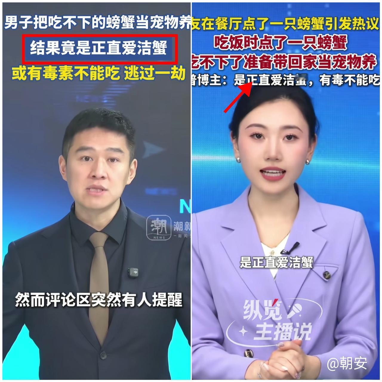 这运气简直开挂了！

湖北男子把海鲜店的“可爱螃蟹”当宠物养，网友一看急了：这是