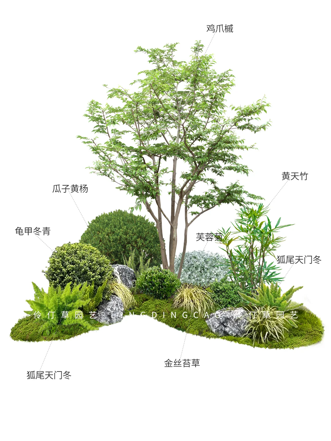 极简禅意植物搭配！这样设计庭院也太哇塞了
