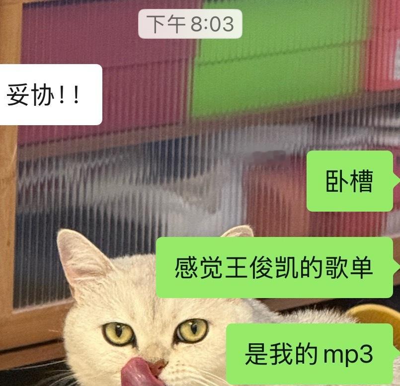 母子连耳 