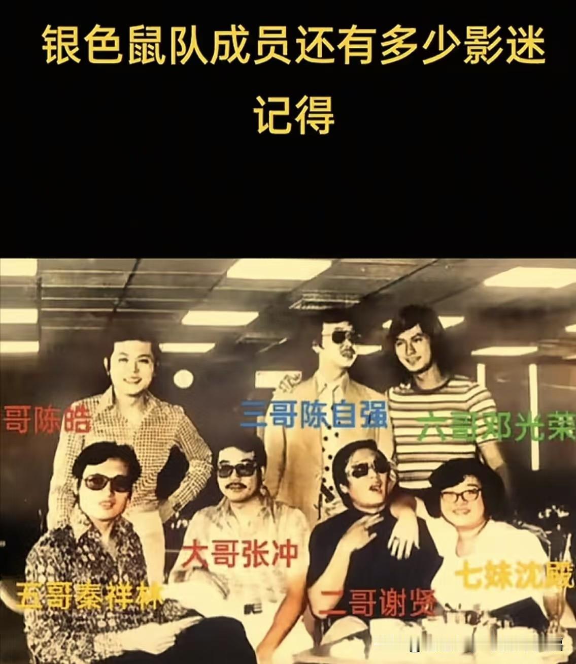 港圈传奇银色鼠队今昔对比！当年赫赫有名的组合，还有多少人记得？
张冲、谢贤、陈自