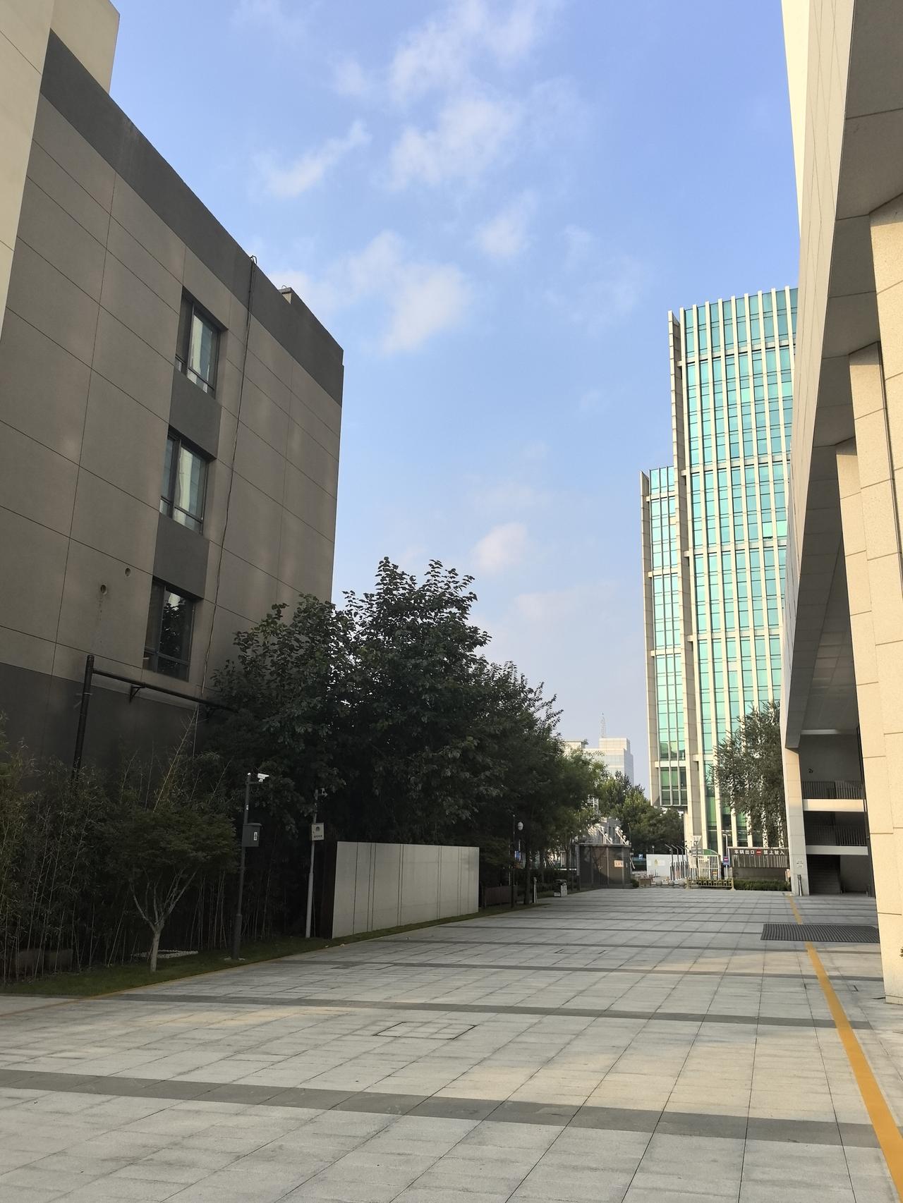 “观察物体”单元教材深度解读
 
一、单元定位与核心价值
 
本单元属于“图形与