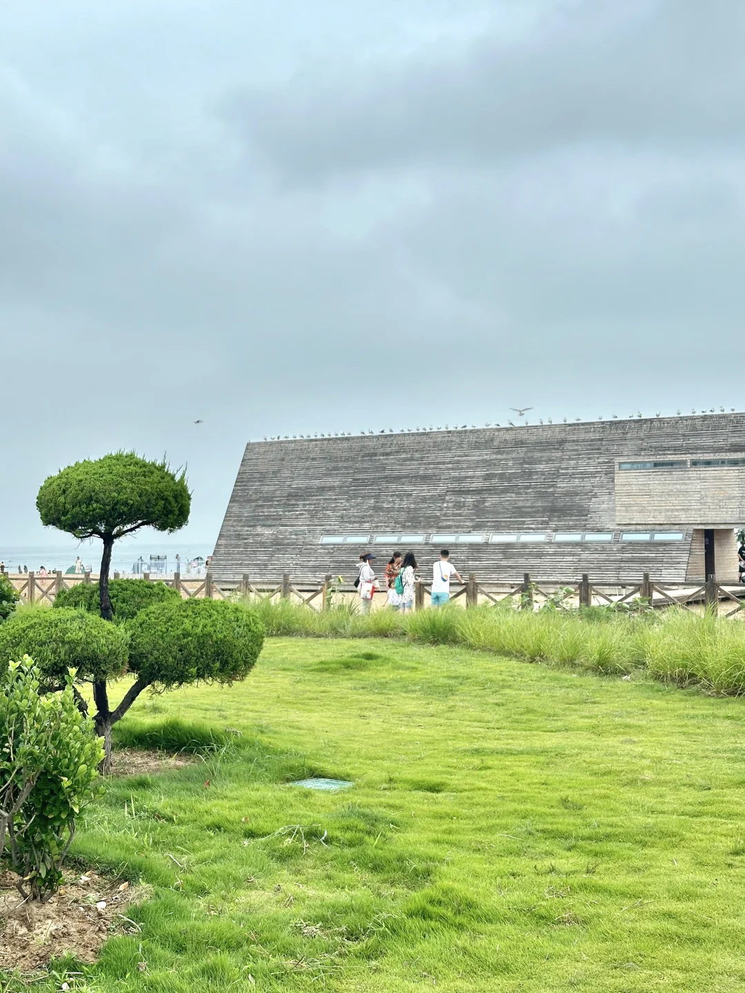 太后悔了！！荣成！！